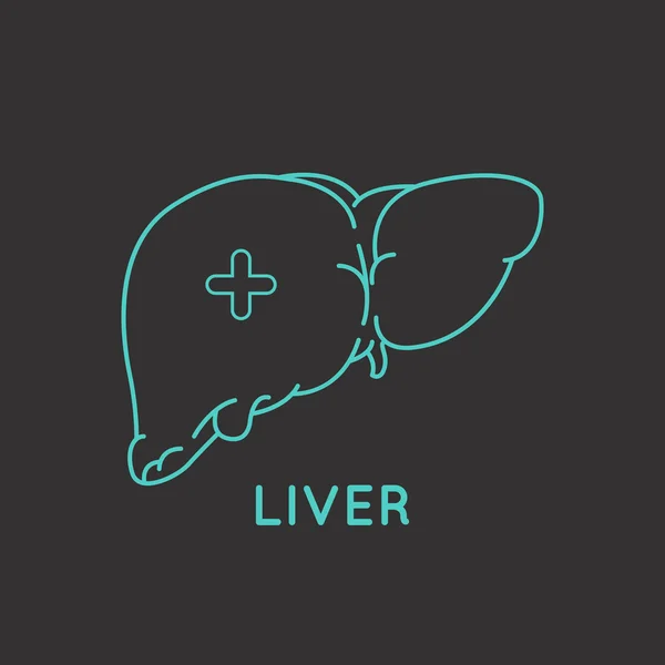 Liver medical logo vector — Stock Vector