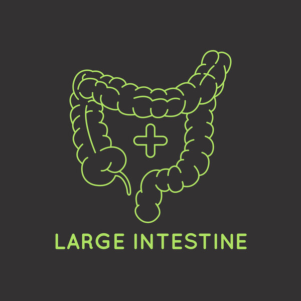 вектор логотипа толстой кишки
