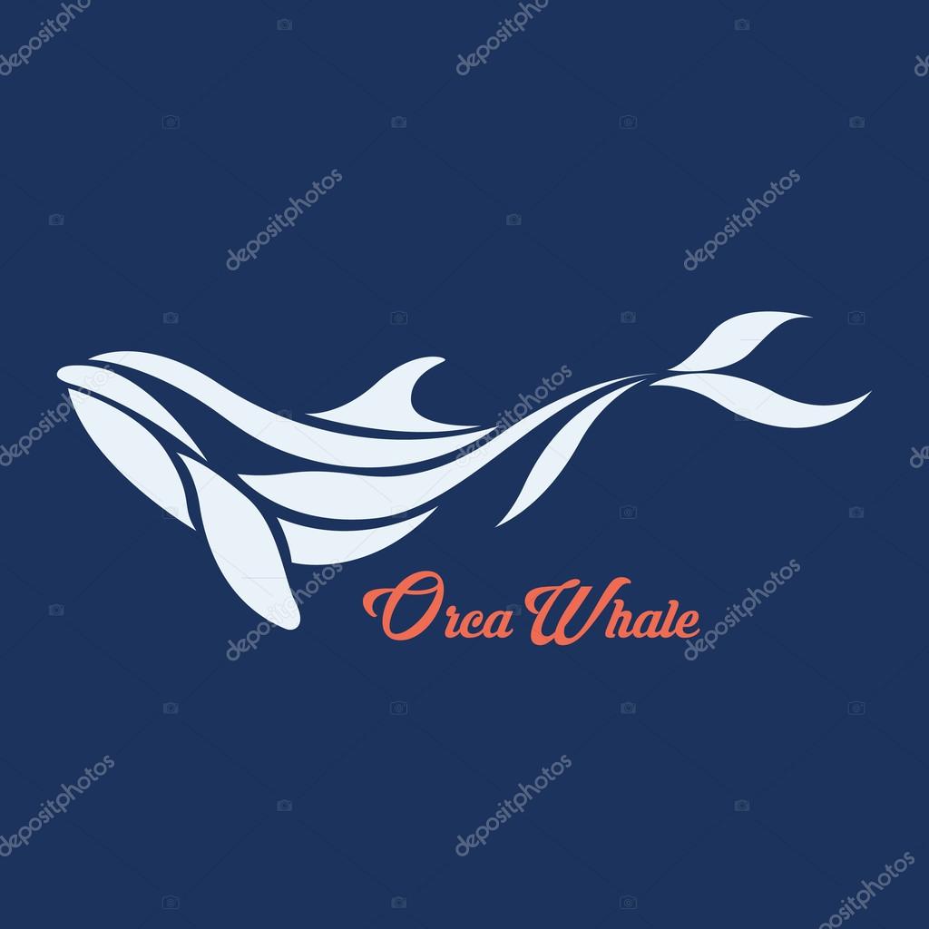 Orca whale logo vector