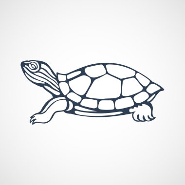 Kaplumbağa logosu