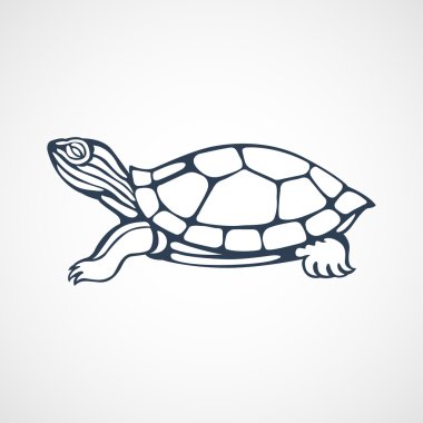 turtle logo clipart