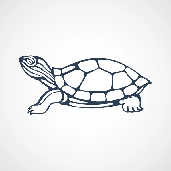 Logo de tortuga — Vector de stock