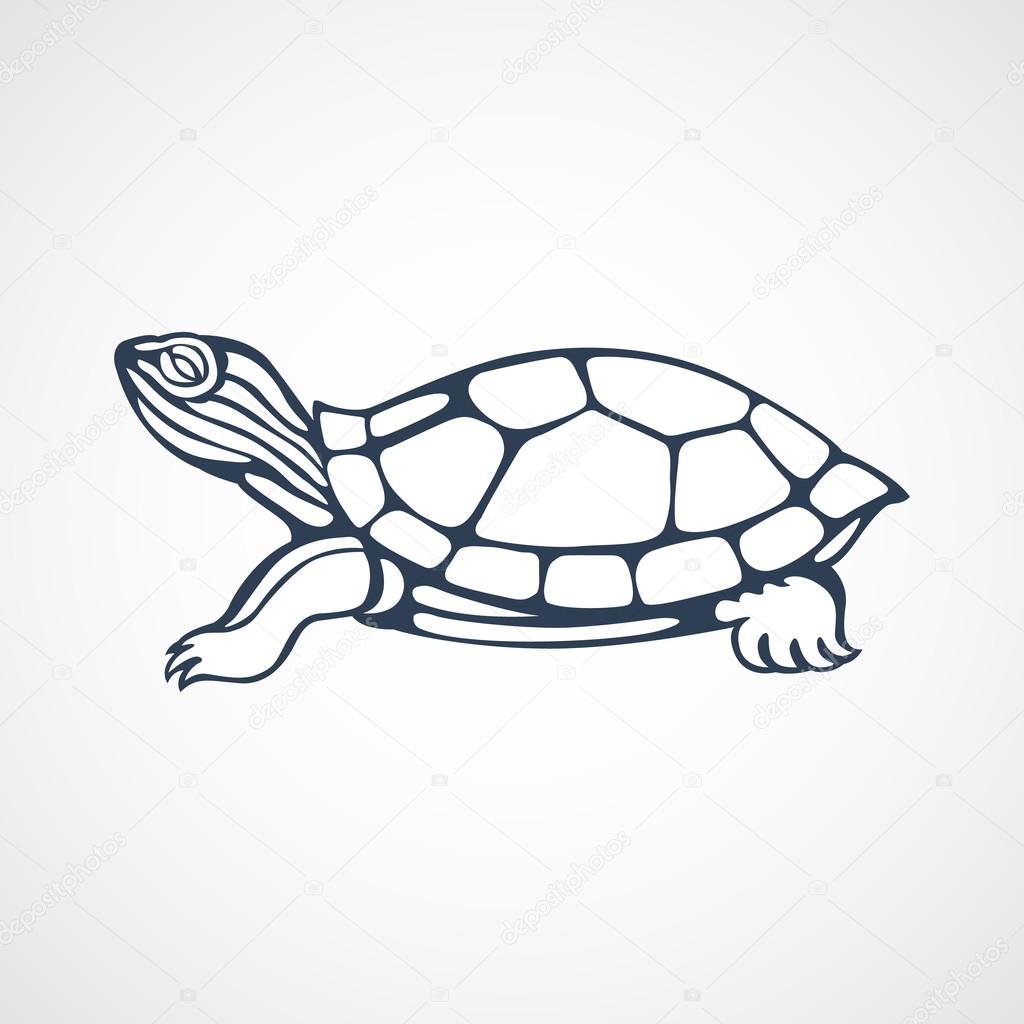 turtle logo