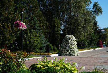 Çiçek aranjmanı, çiçek aranjmanı ve kalibreli. Lamba direğinde çiçek sepetinde Calibrachoa. Asılan sepetteki muhteşem kalibreli çalılık. Tencerede çiçek açan petunya. Asılı saksılarda renkli parlak çiçekler..