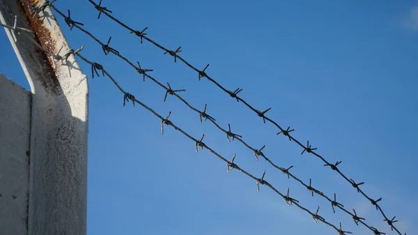 Rusty barbed wire against a cloudy sky. Serving a sentence behind barbed wire. Fencing. n
