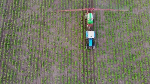 Un tractor rocía pesticidas en un campo de plantas jóvenes de girasol. Ojo de pájaro. Un tractor rocía un campo con un girasol. Plantaciones de girasol. Agricultura. — Vídeos de Stock