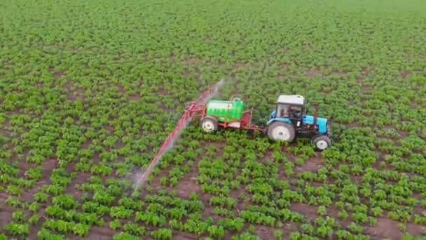 Un tracteur pulvérise des pesticides sur un champ de jeunes plants de tournesol. Oeil d'oiseau. Un tracteur asperge un champ d'un tournesol. Plantations de tournesol. Agriculture. — Video