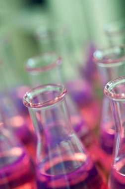 Test tüpleri pembe sıvı ile