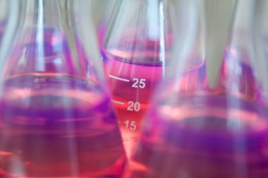 Test tüpleri pembe sıvı ile