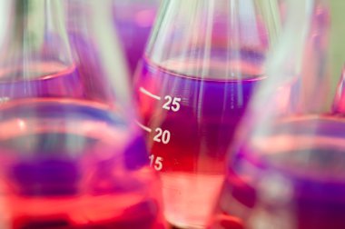 Test tüpleri pembe sıvı ile