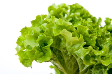 Yeşil, taze salata yaprakları