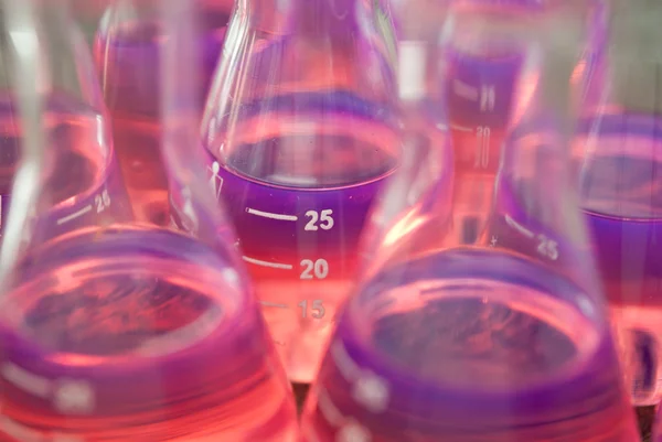 Test tubes  with pink liquid — Stock Photo, Image