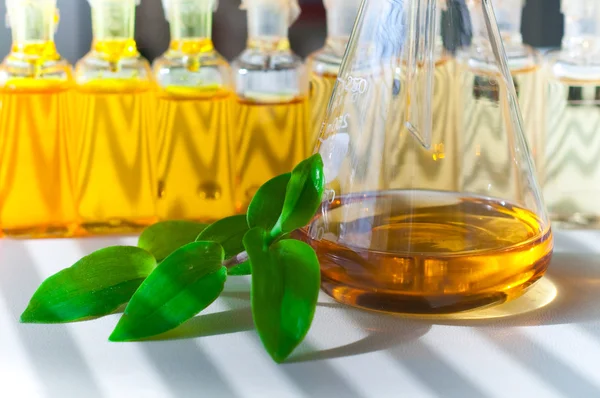 Alternatif biyo yakıt