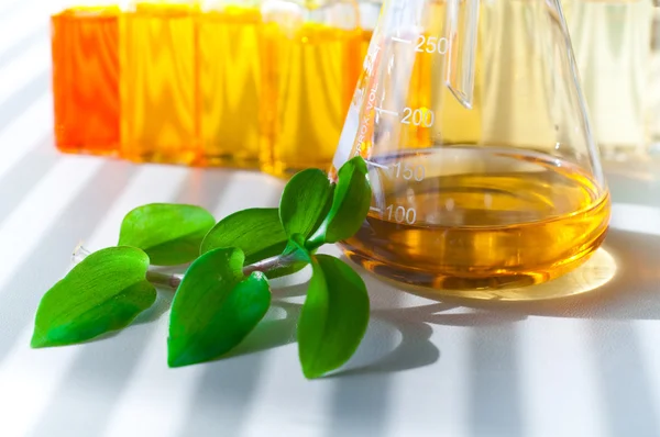 Alternatif biyo yakıt