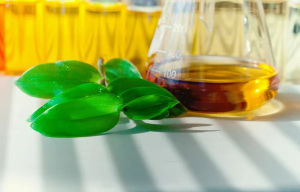 Alternate bio fuel — Stock Photo, Image
