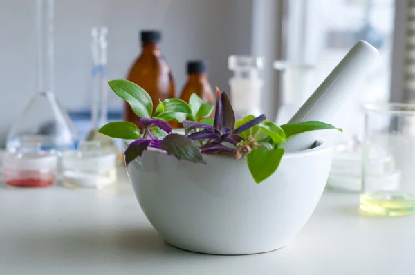 Mortar and pestle with herbs — Stock Photo, Image