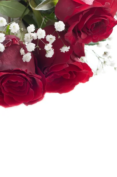 Bukiet róż na białym Obraz Stockowy