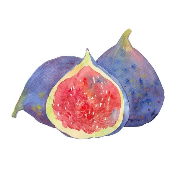 Figues et demi aquarelle — Photo