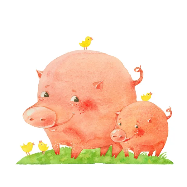 Two pigs and birds — Stock Photo, Image
