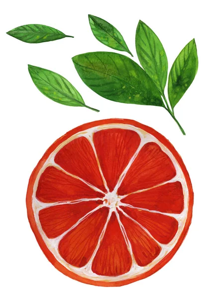 Akwarela sycylijski pomarańczowy — Zdjęcie stockowe