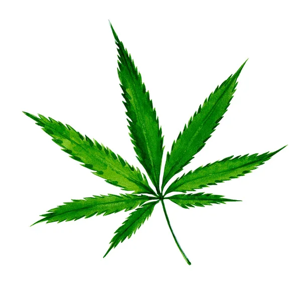 Aquarela folha de cannabis — Fotografia de Stock
