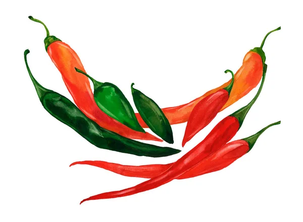 Akvarel horké papriky — Stock fotografie