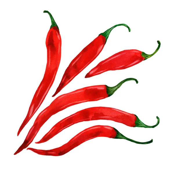 Akvarel červená paprika — Stock fotografie