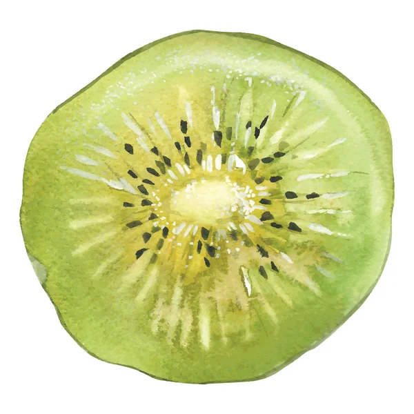 Kiwi — Stockový vektor