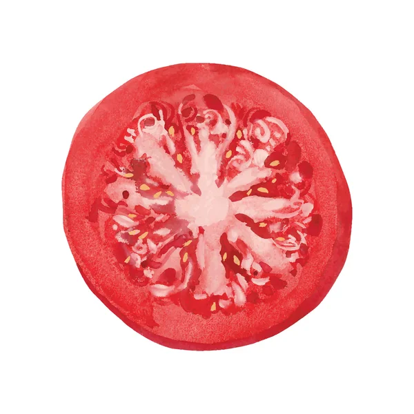 Fatia de tomate — Vetor de Stock