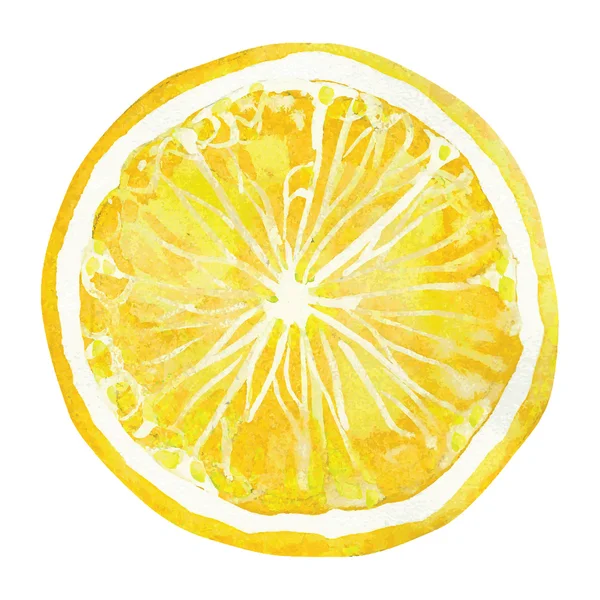 柠檬 — 图库矢量图片