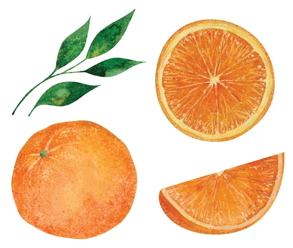 Ensemble d'oranges — Image vectorielle