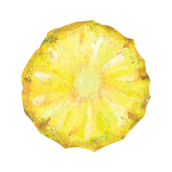 Векторный акварельный ананас — стоковый вектор