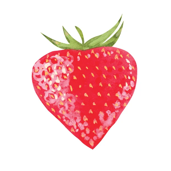 Vektor Aquarell Erdbeere — Stockvektor