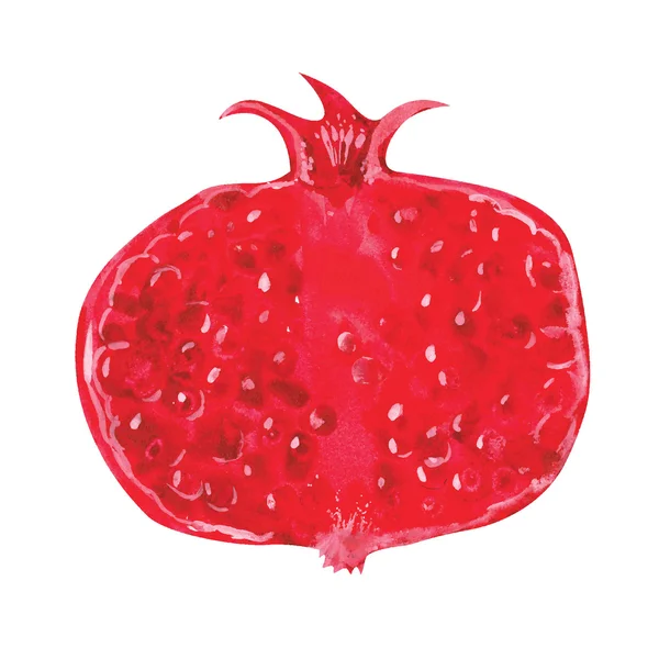 Aquarell-Granatapfel — Stockvektor