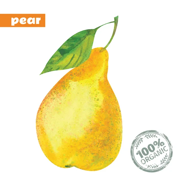 Vector watercolor yellow pear — ストックベクタ