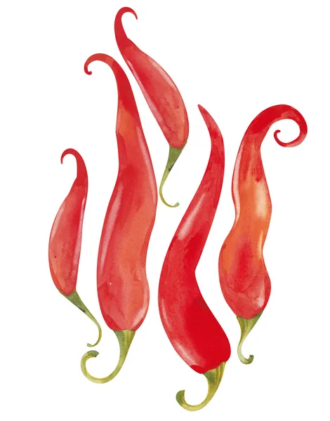 Červené chilli papričky — Stock fotografie