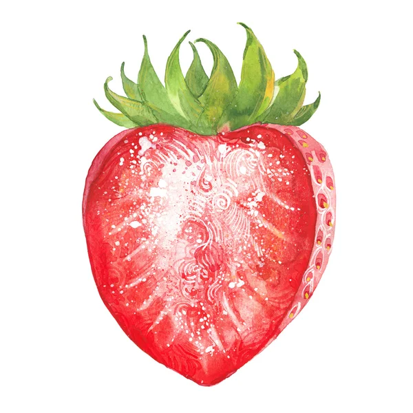 Aquarell halbe Erdbeere — Stockfoto