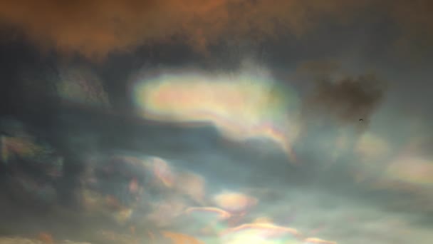 Reuzenpolaire stratosferische wolken vogel vliegen — Stockvideo