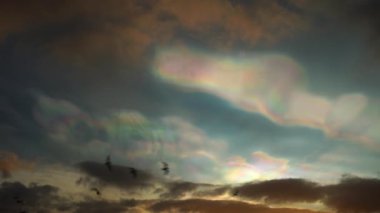 Nacreous kutup stratosferik bulutlar kuş sürüsü