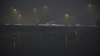 Sis ve ördek dolu göletin yanında trafik vardı.