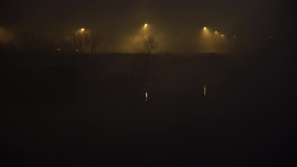 Luces traseras del coche en el camino de niebla oscura por pantano — Vídeo de stock