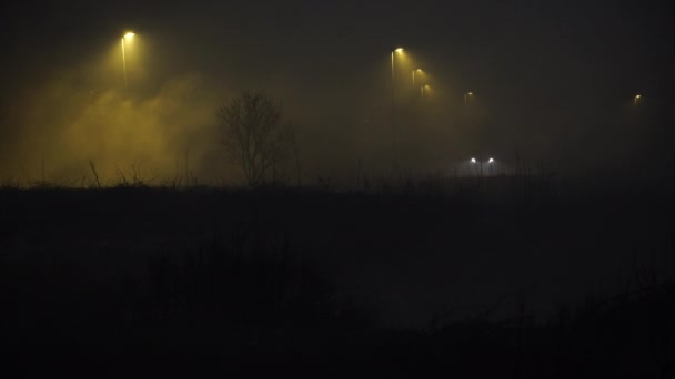 Reflektory pojazdu przez gęstą mgłę bagienną w nocy Islandia — Wideo stockowe