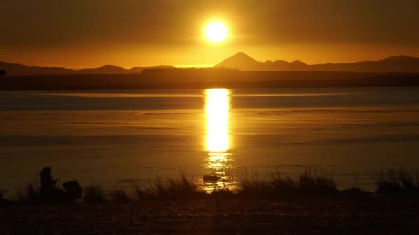 Mujer en el teléfono empujando bebé cochecito océano puesta del sol Islandia — Vídeo de stock