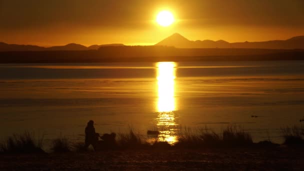 Mujer empujando bebé cochecito océano puesta del sol Islandia — Vídeos de Stock