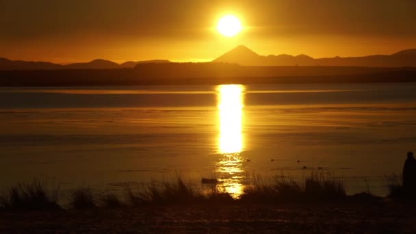 Donna a piedi scenico tramonto sull'oceano Islanda — Video Stock