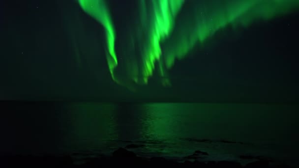 Heldere aurora borealis reflecteert in oceaan real-time video — Stockvideo