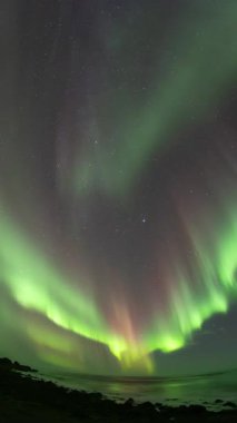 İzlanda plajında muhteşem bir Aurora Borealis, dikey.
