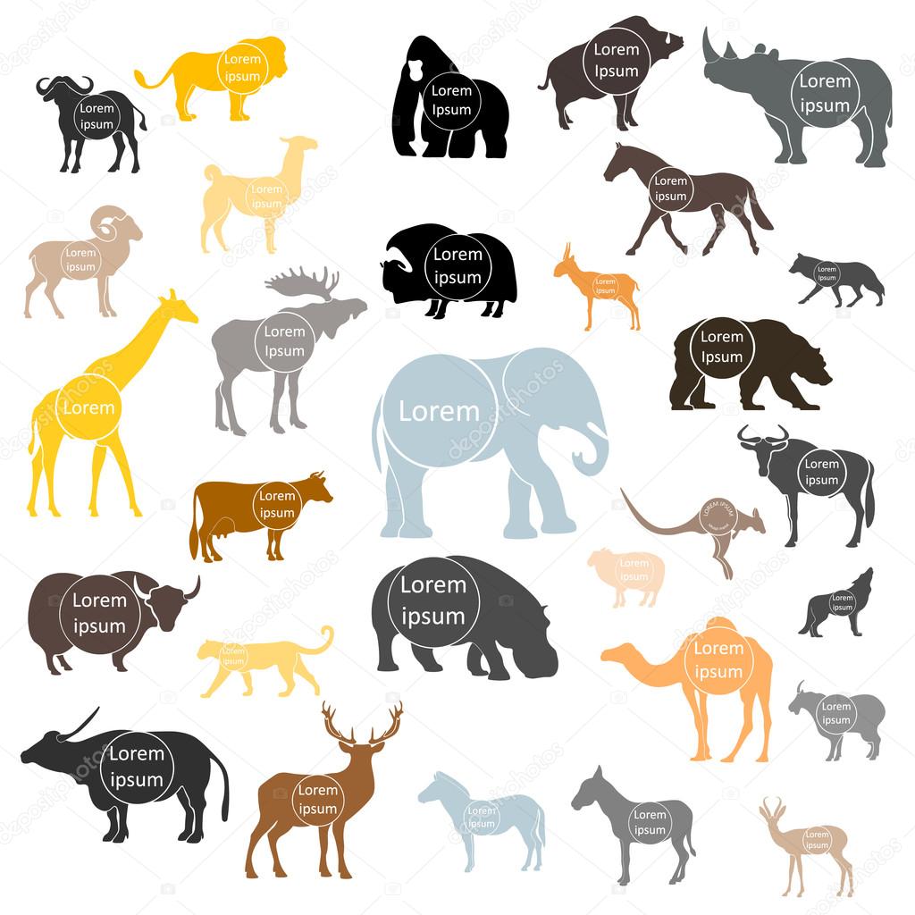 Set of vector animals logo with space for text