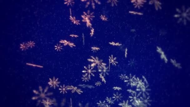 Аннотация Падения Снежинки Анимации Фоновый Цикл — стоковое видео