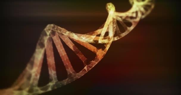 Abstrato Dna Molécula Estrutura Conceito Animação Fundo Loop — Vídeo de Stock